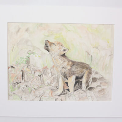 original aquarell kleiner wolf in passepartout