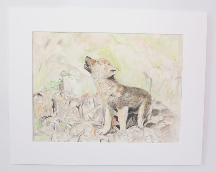 original aquarell kleiner wolf in passepartout