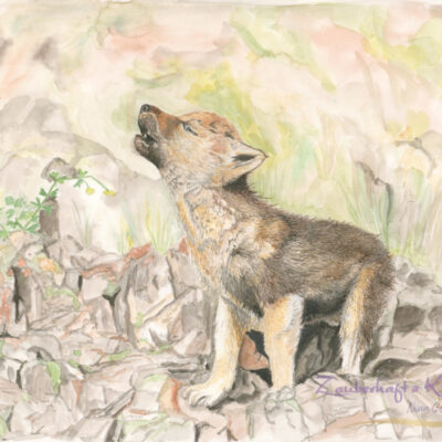 original gemaelde aquarell kleiner wolf krafttier nina goeckel zauberhafte kuenste